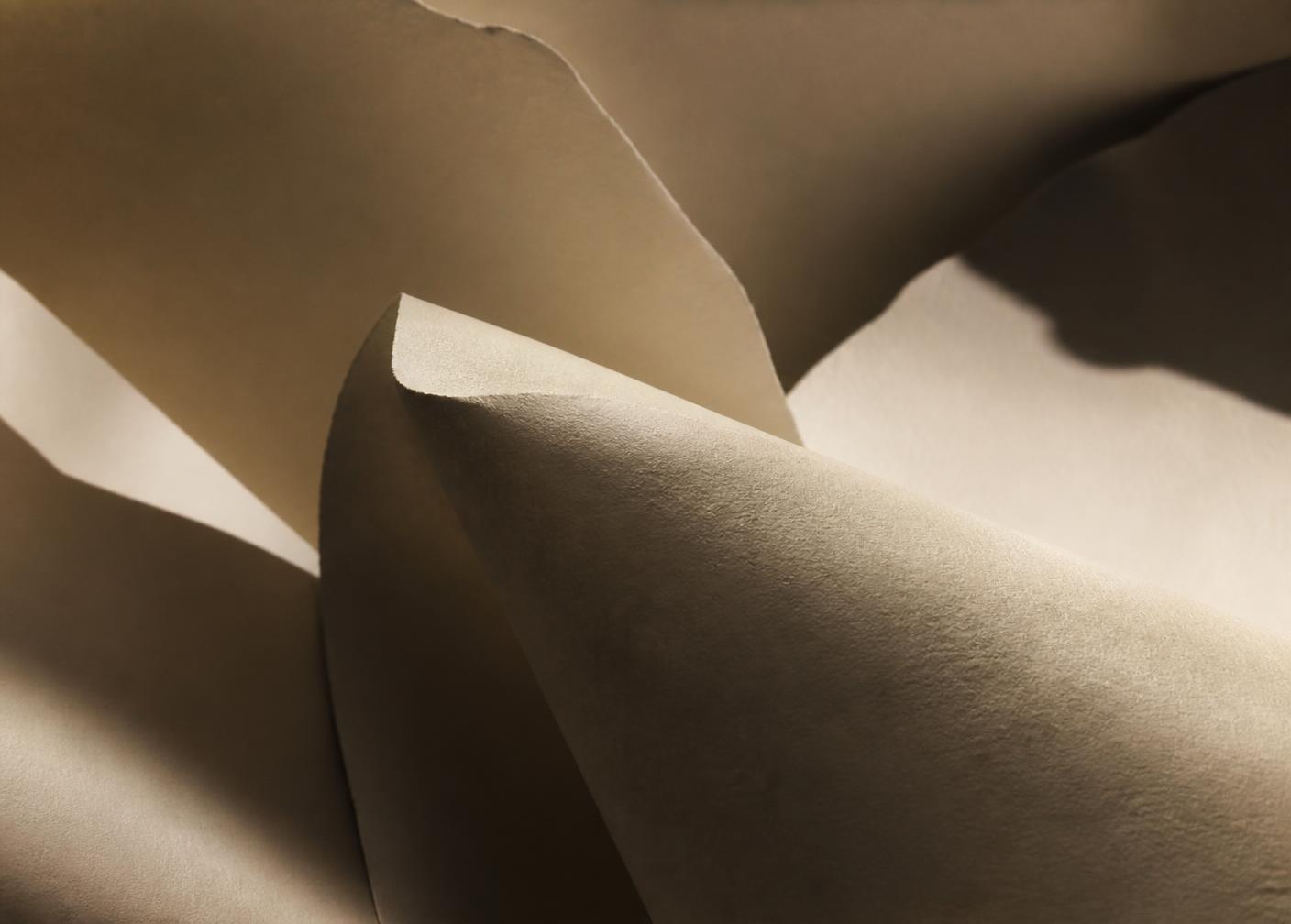 Folded ivory paper in raking warm light